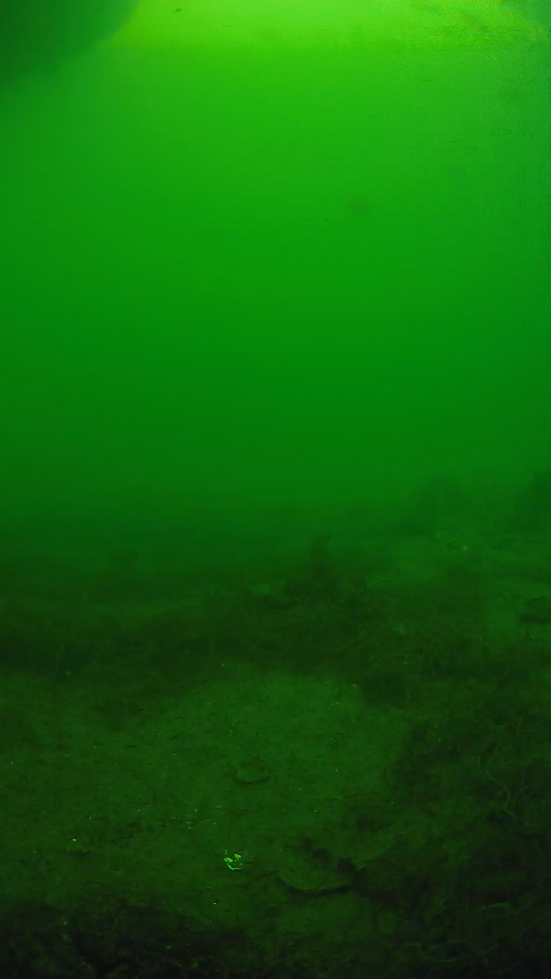 lander_ipcam_20250605151653.png