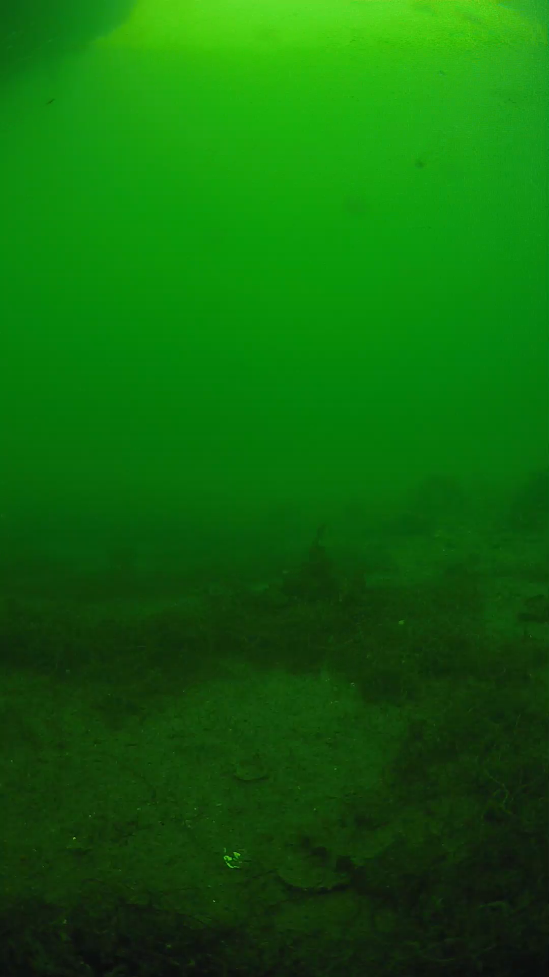 lander_ipcam_20250605151657.png