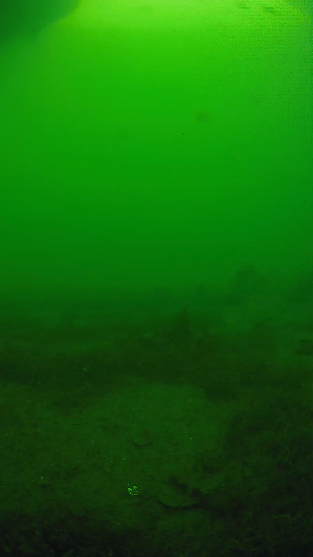 lander_ipcam_20250605153132.png