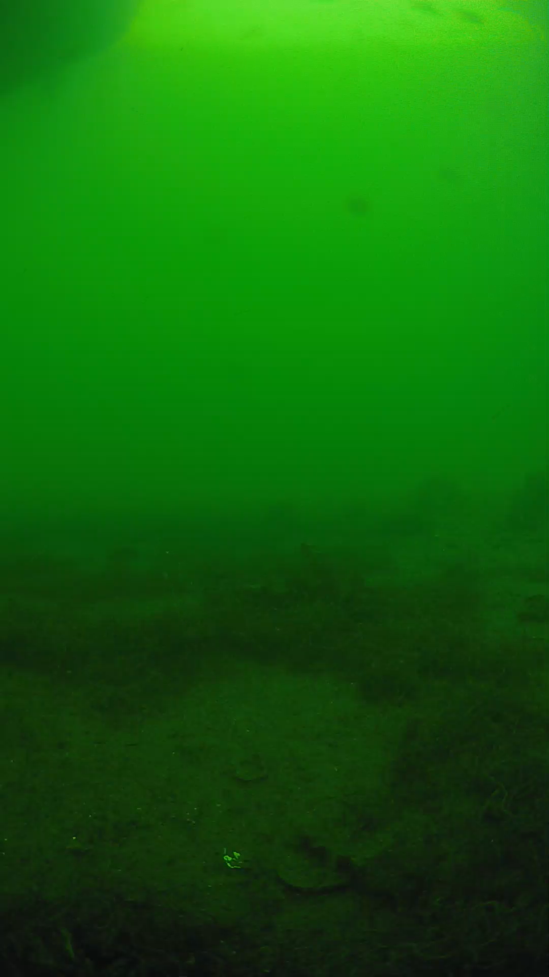 lander_ipcam_20250605160120.png