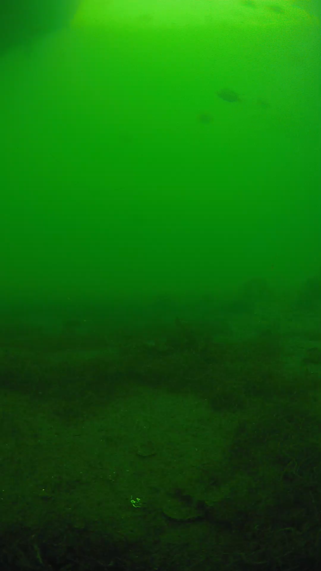 lander_ipcam_20250605160122.png