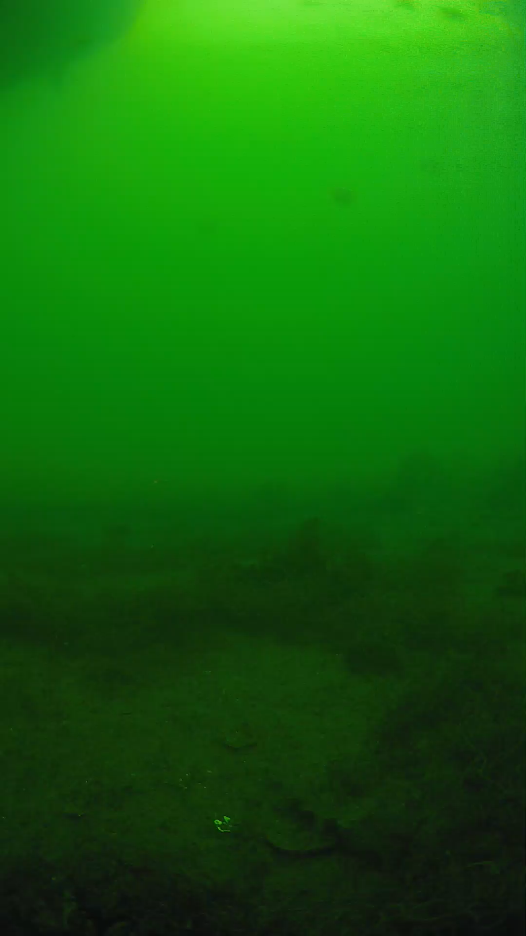 lander_ipcam_20250605163135.png