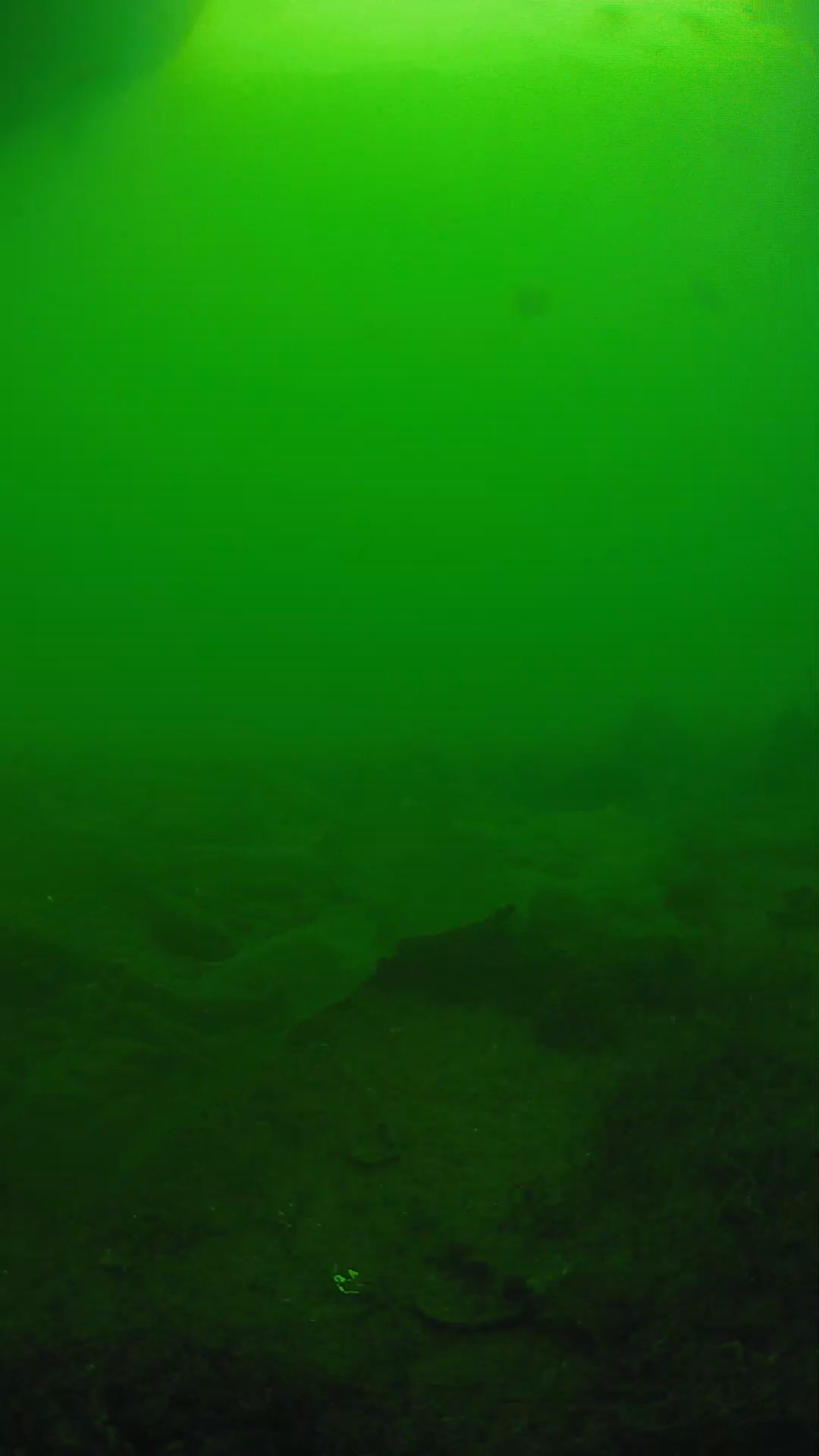 lander_ipcam_20250605171603.png