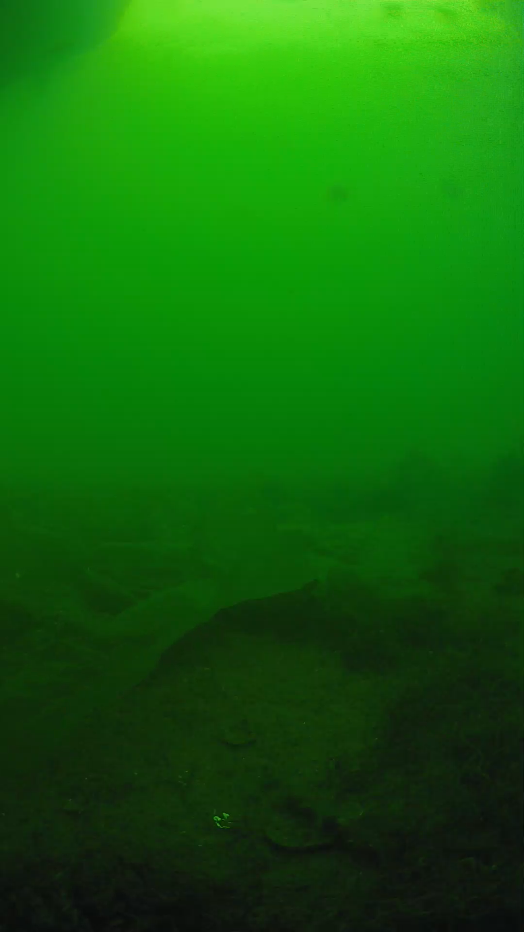 lander_ipcam_20250605171604.png