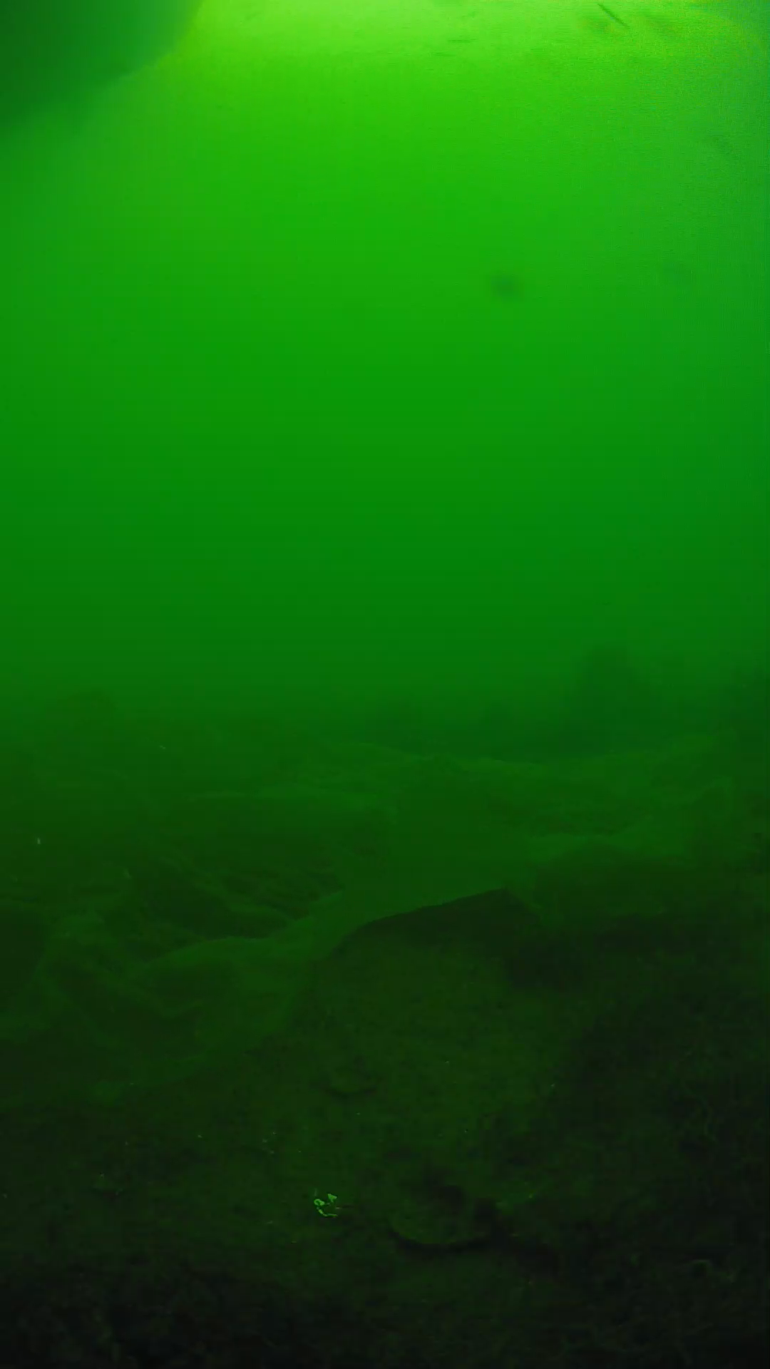 lander_ipcam_20250605171642.png