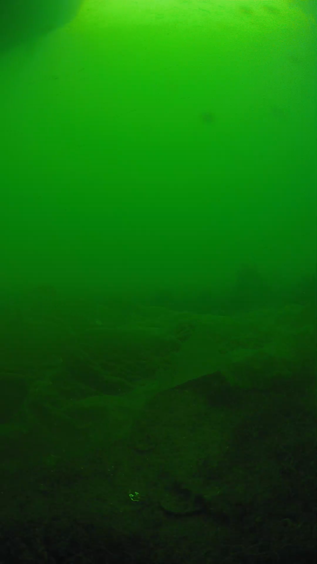 lander_ipcam_20250605171645.png