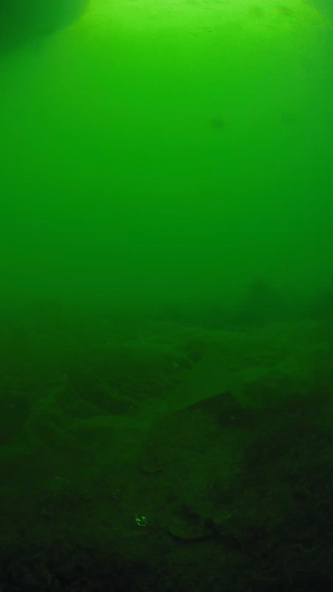 lander_ipcam_20250605171646.png
