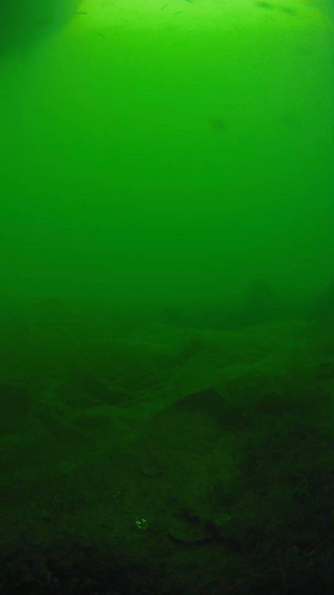 lander_ipcam_20250605171650.png