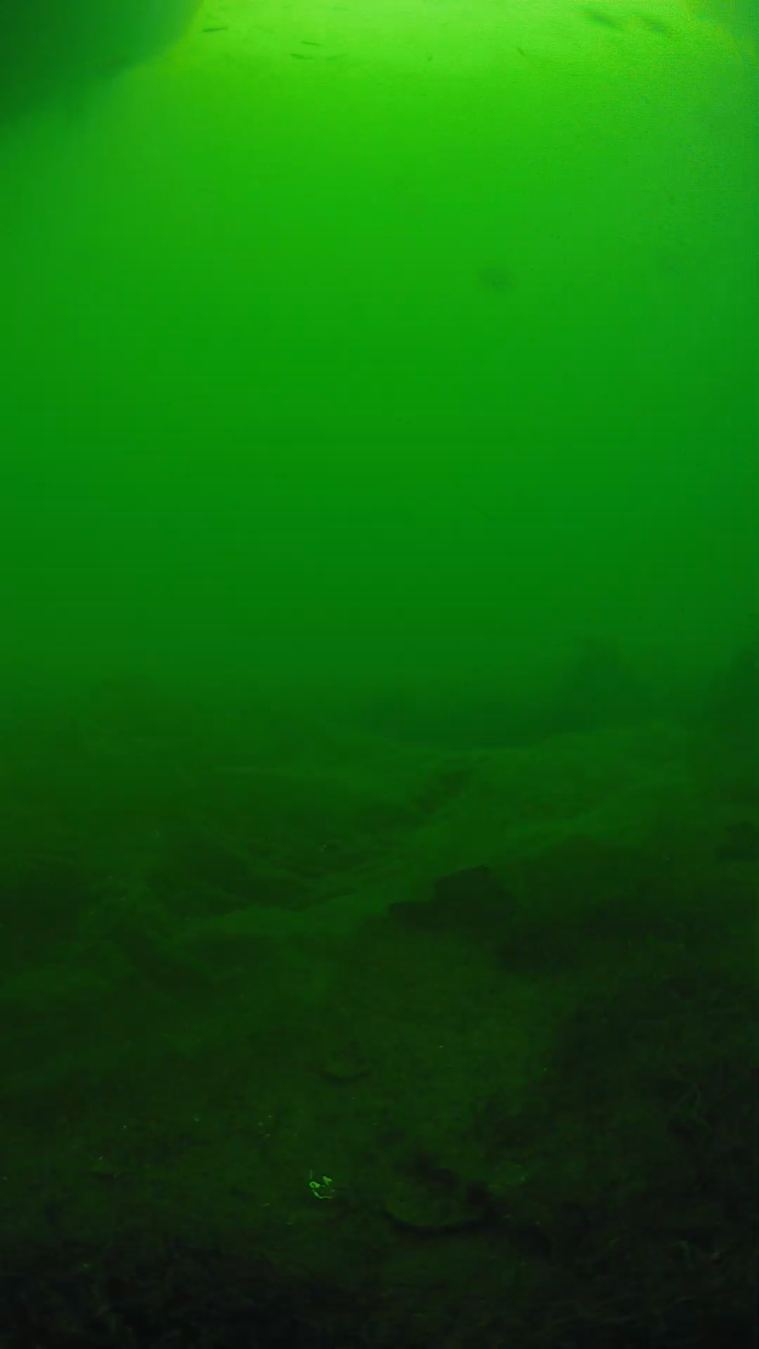 lander_ipcam_20250605171654.png