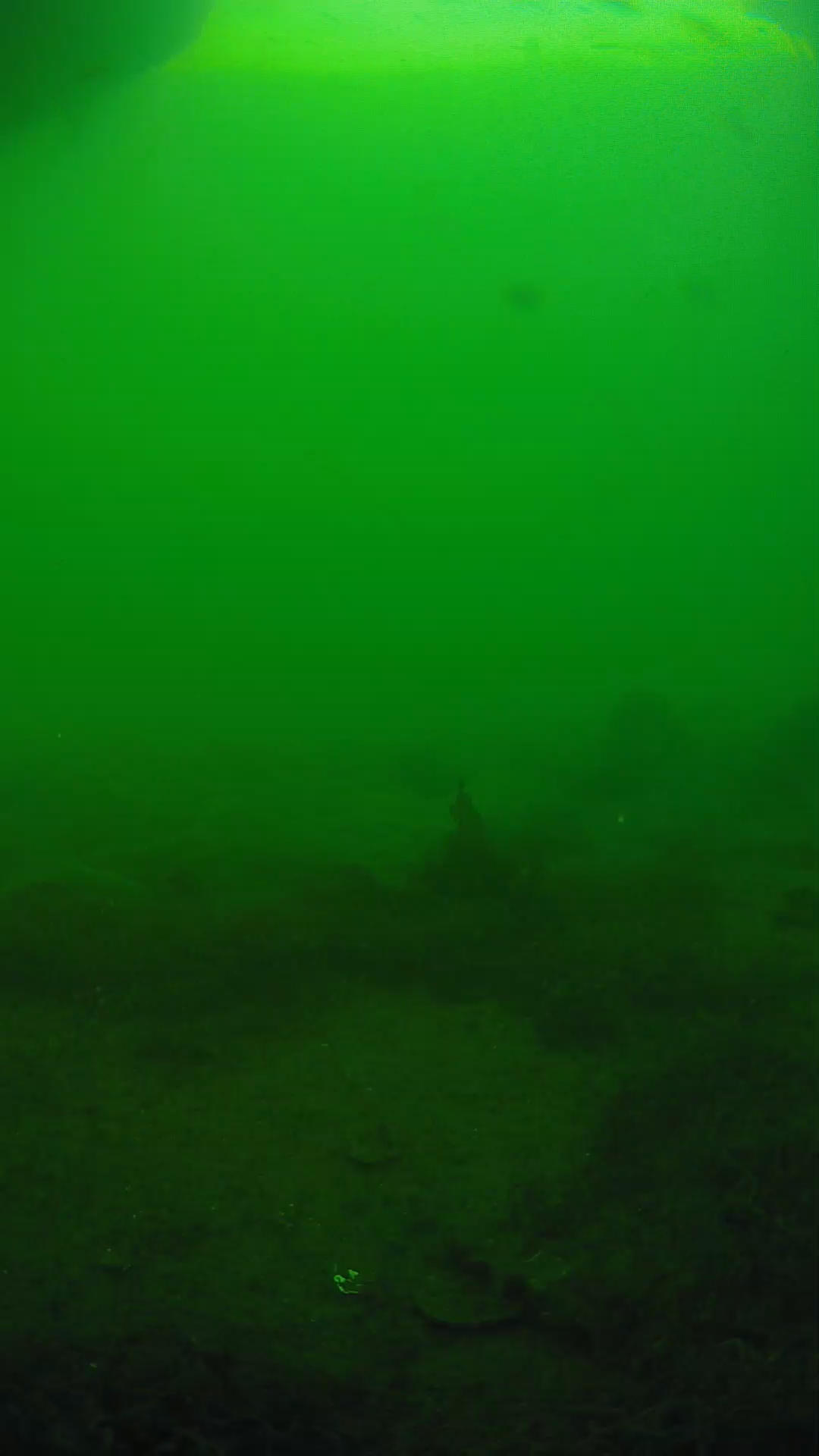 lander_ipcam_20250605173103.png