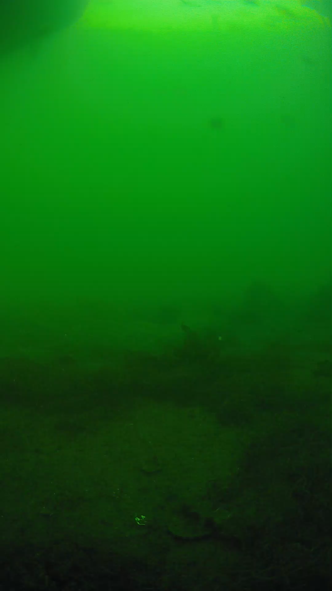 lander_ipcam_20250605173106.png