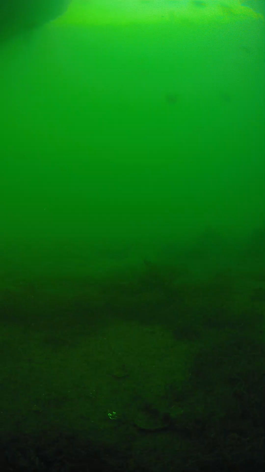 lander_ipcam_20250605173131.png