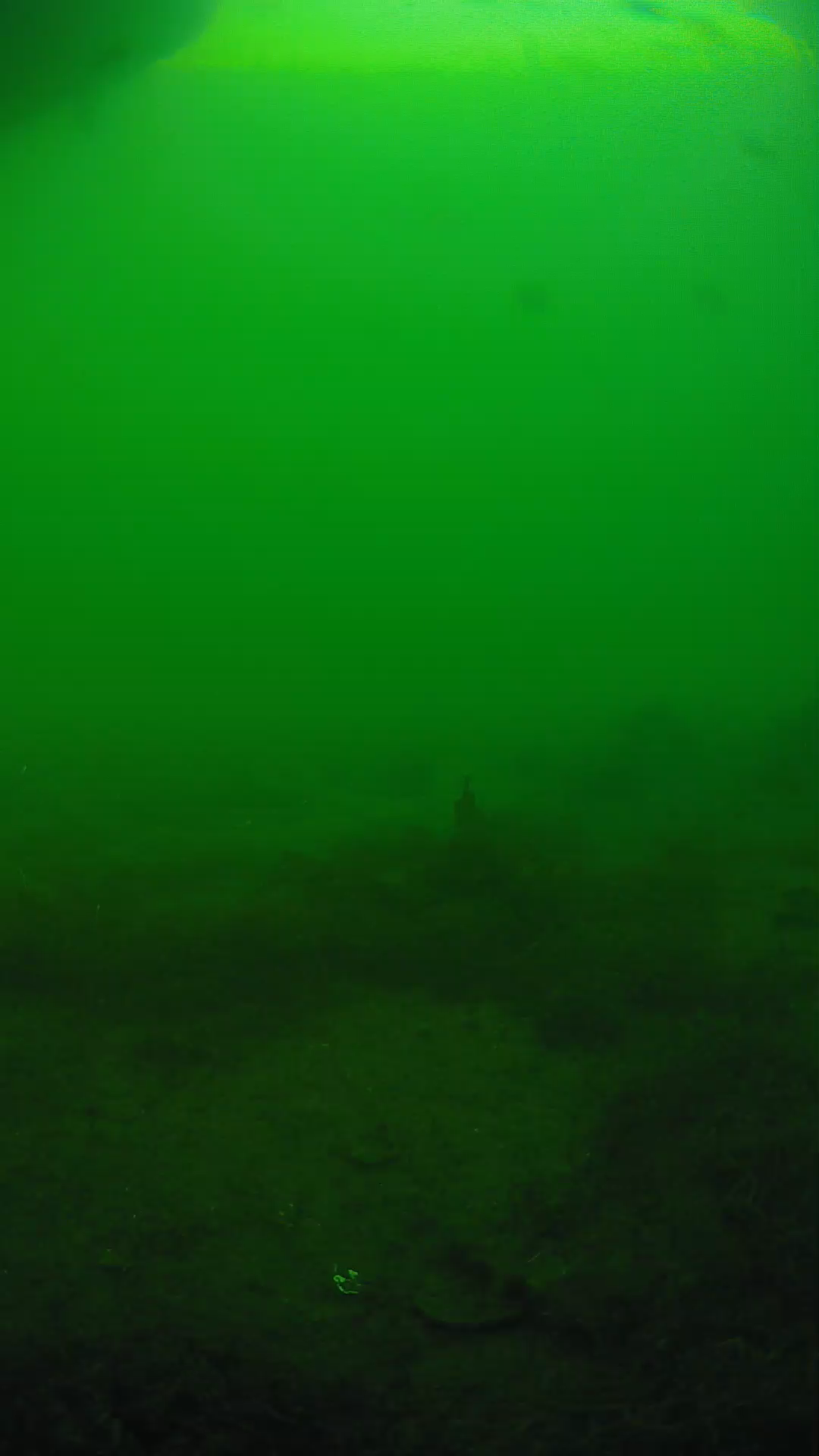 lander_ipcam_20250605173158.png