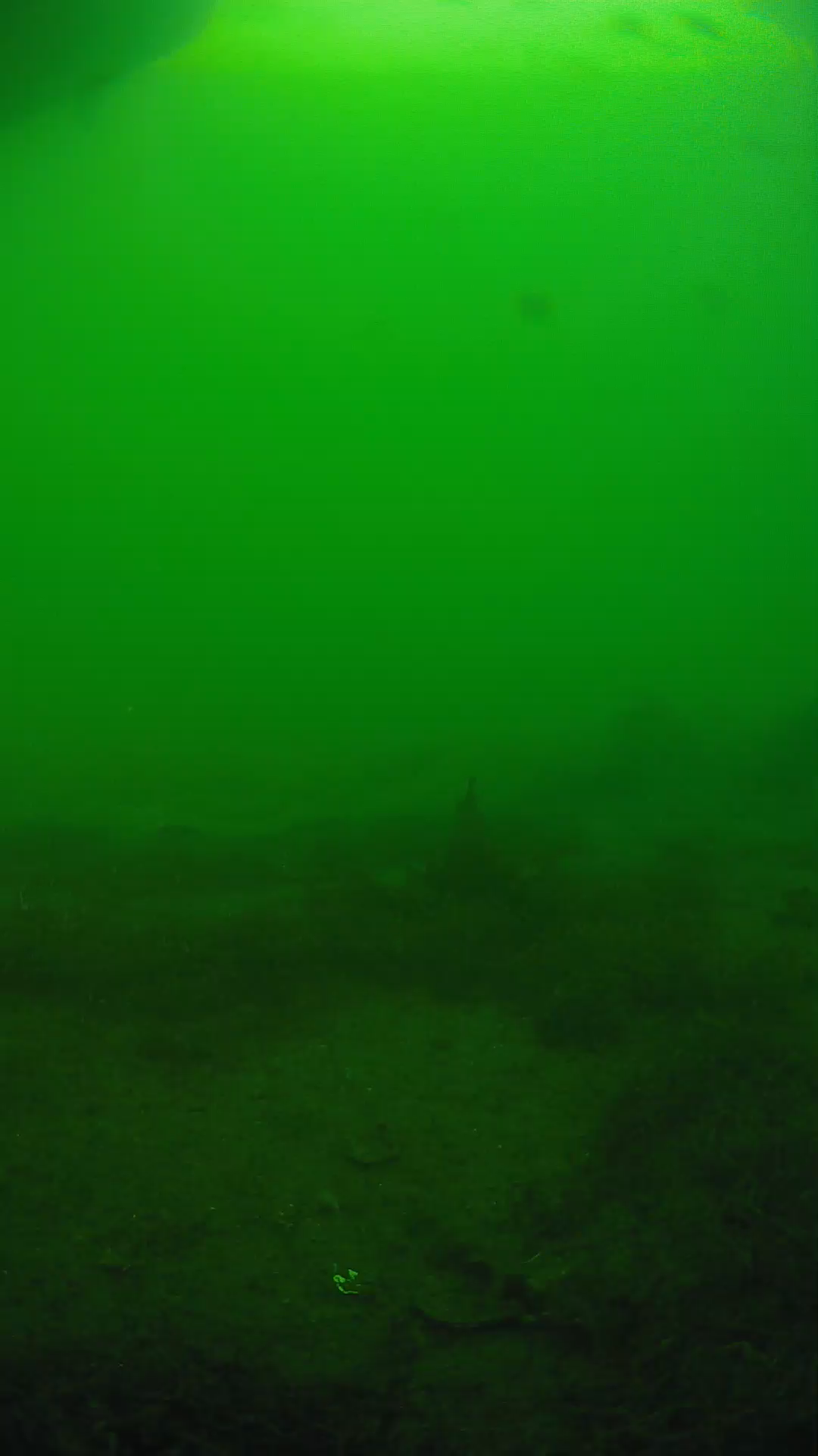 lander_ipcam_20250605174637.png