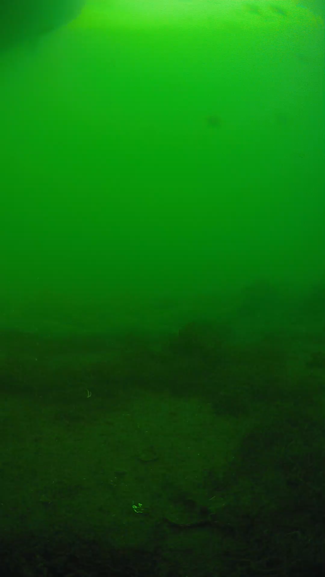 lander_ipcam_20250605174652.png