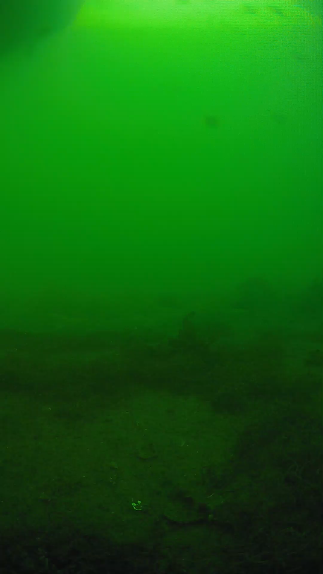 lander_ipcam_20250605174700.png