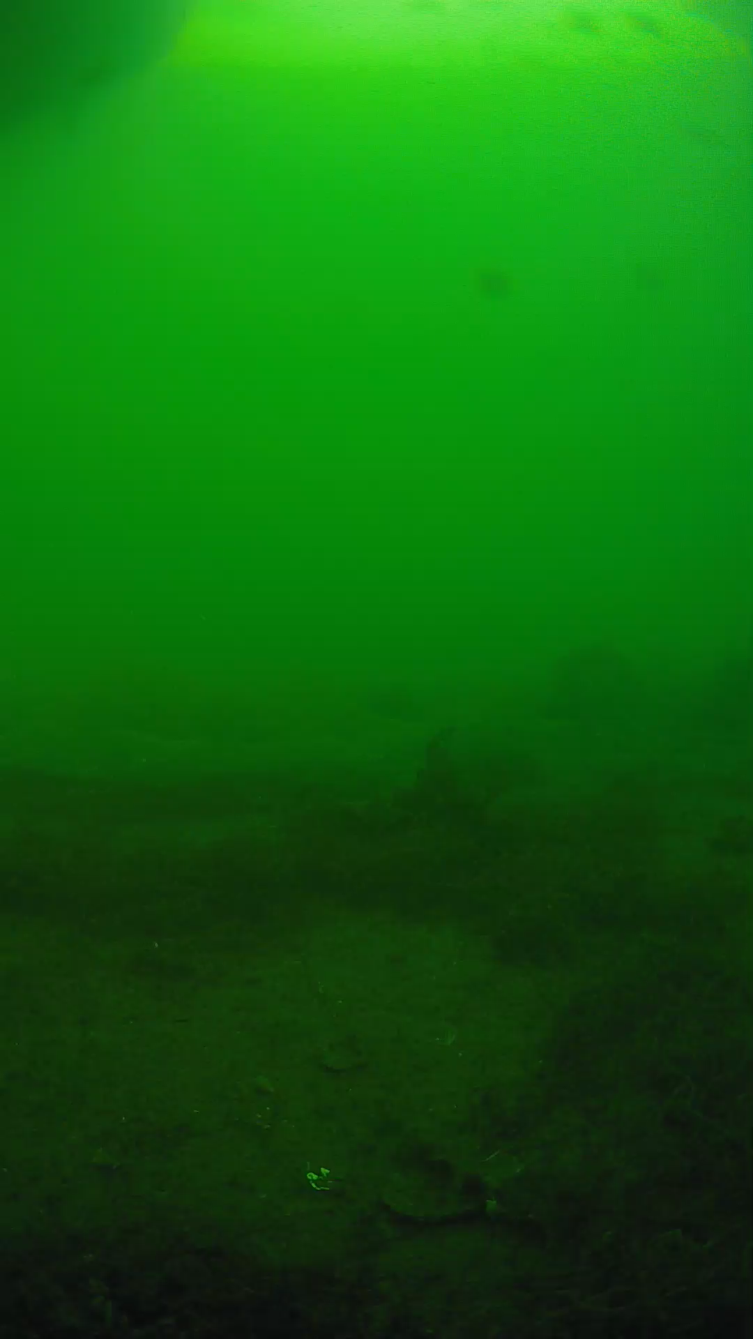 lander_ipcam_20250605174701.png
