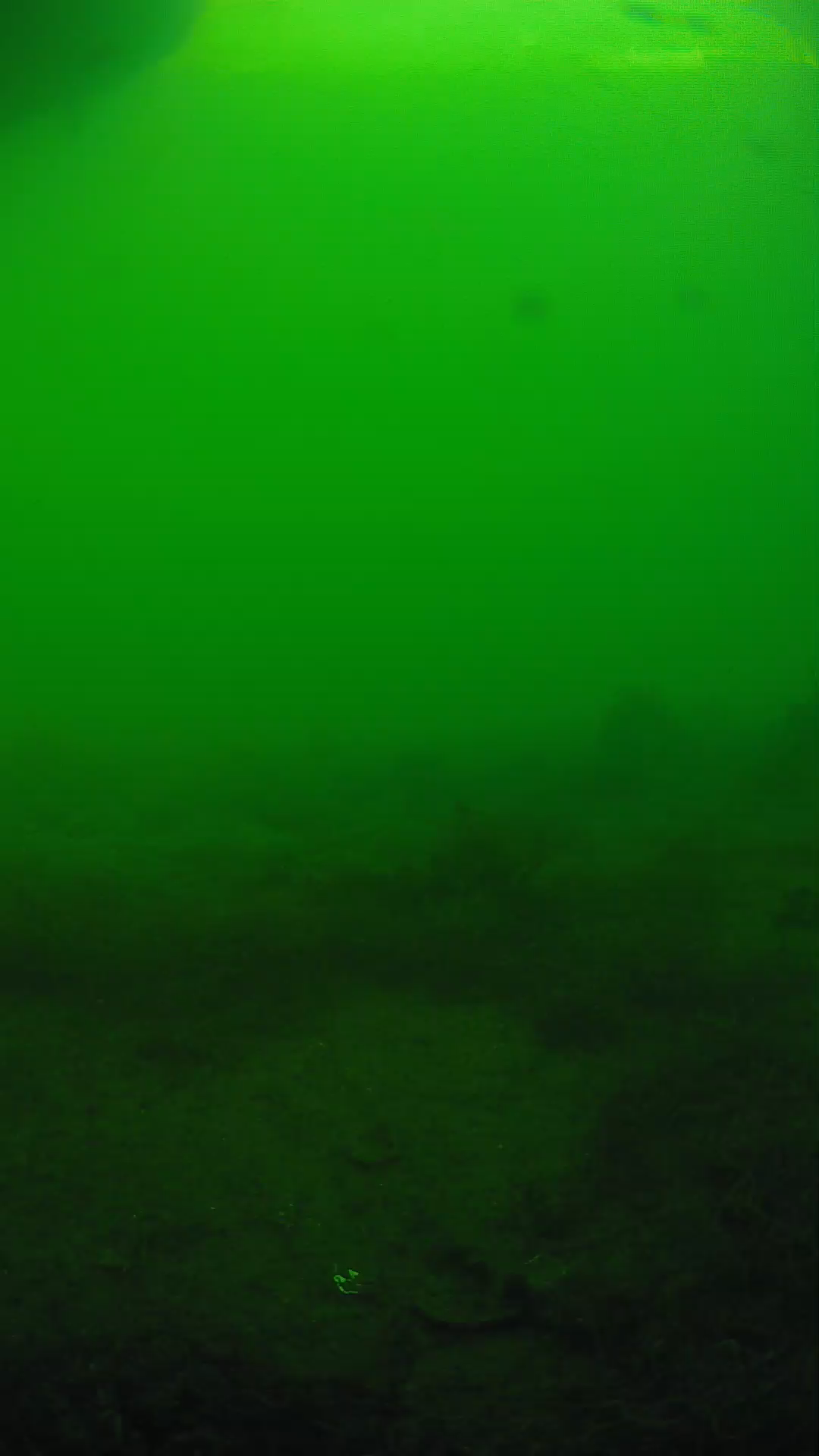 lander_ipcam_20250605180104.png
