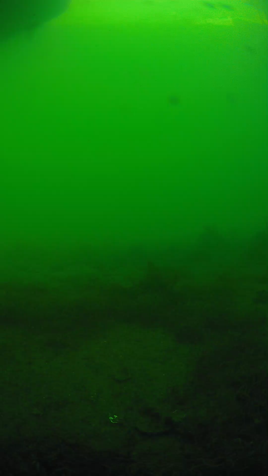 lander_ipcam_20250605180111.png