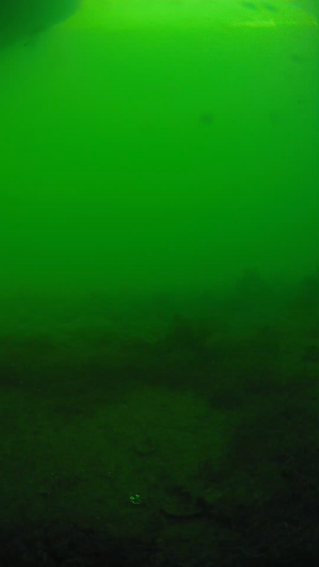 lander_ipcam_20250605180113.png