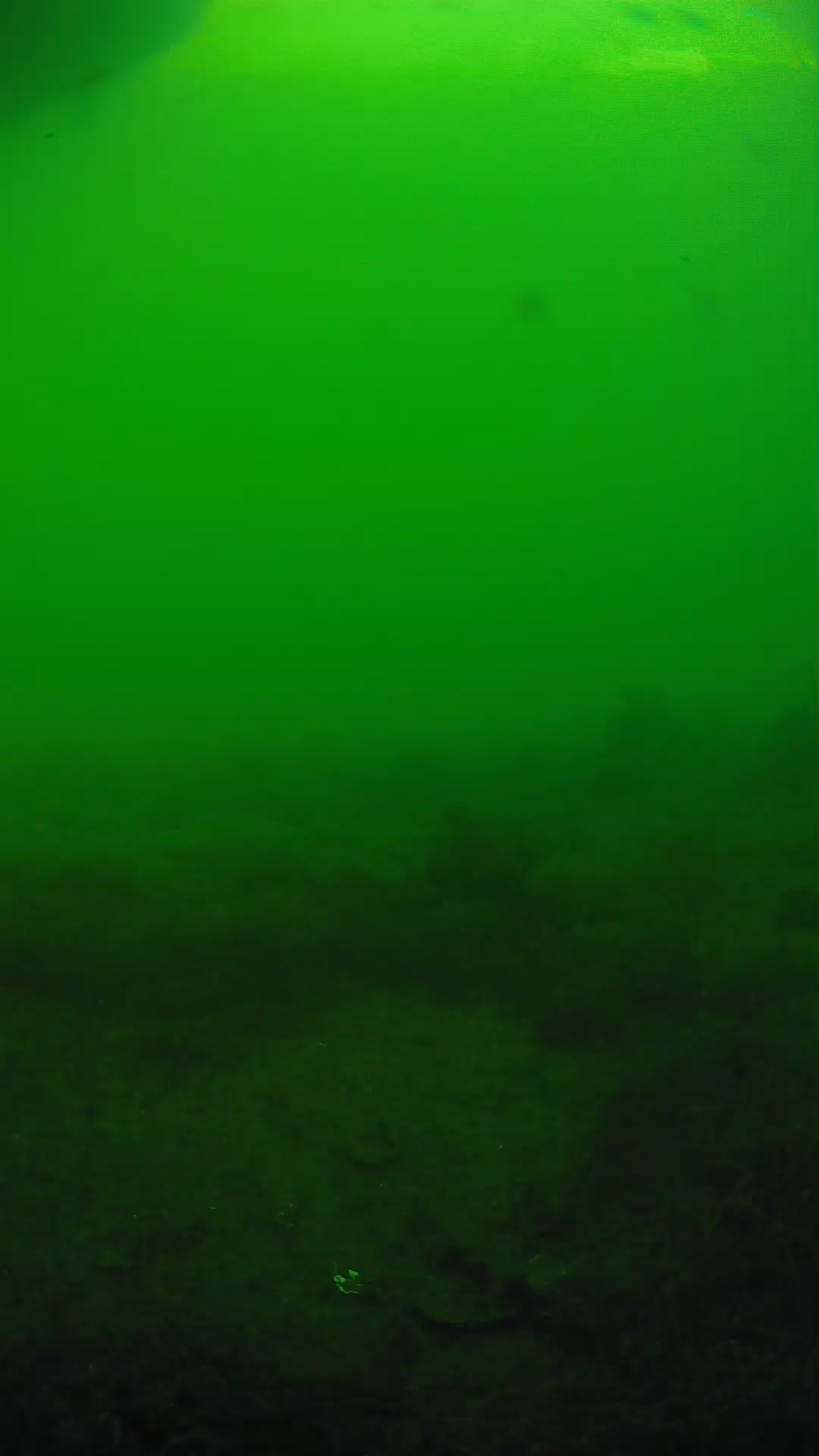 lander_ipcam_20250605180114.png