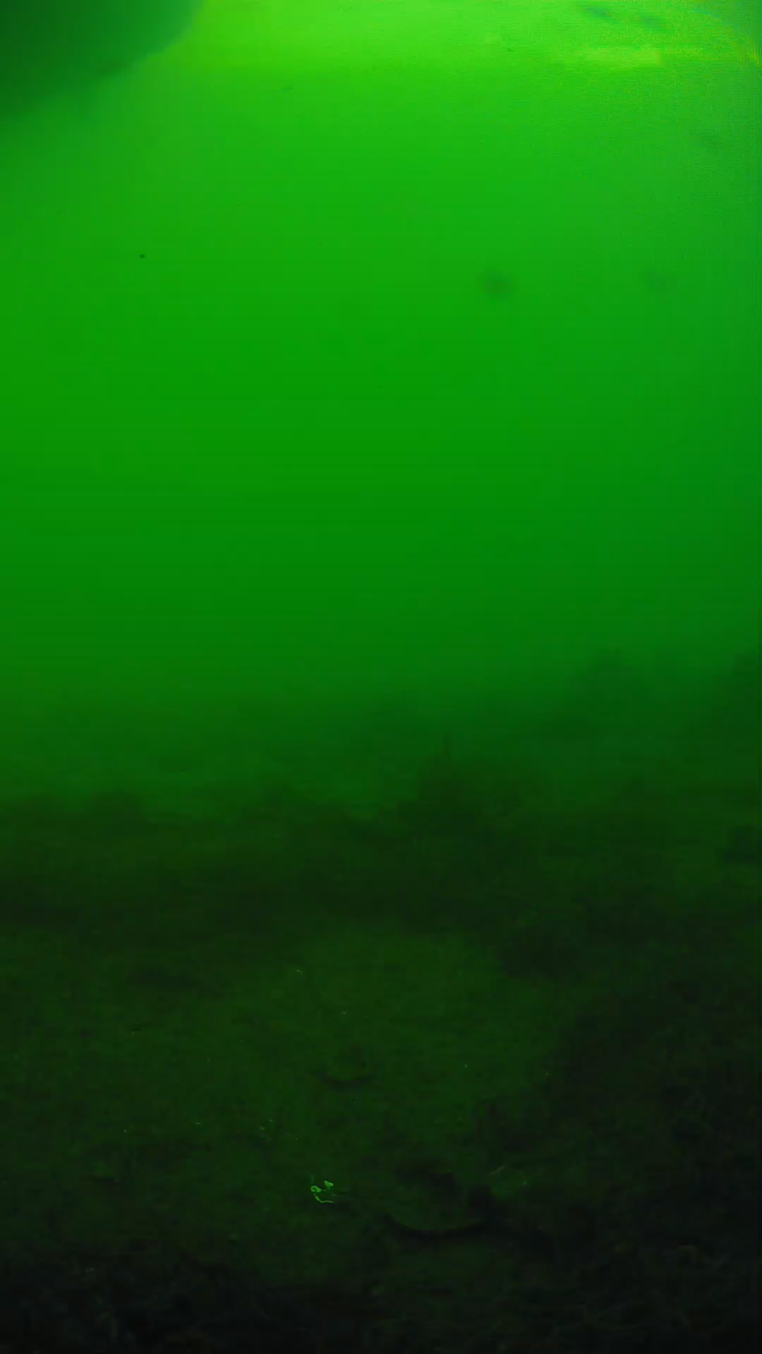 lander_ipcam_20250605180121.png