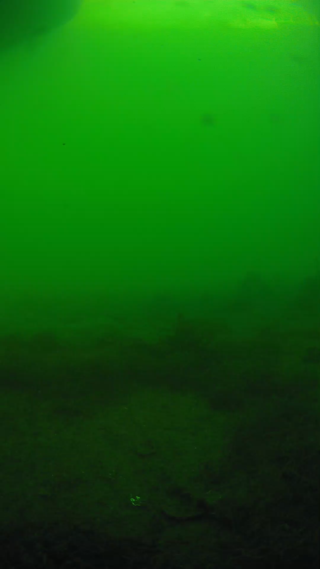 lander_ipcam_20250605180125.png
