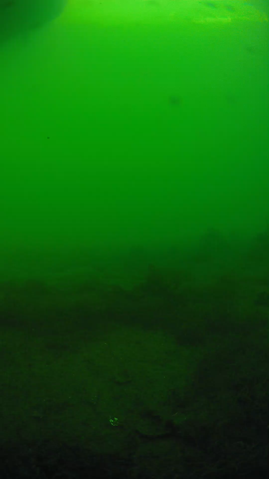 lander_ipcam_20250605180127.png