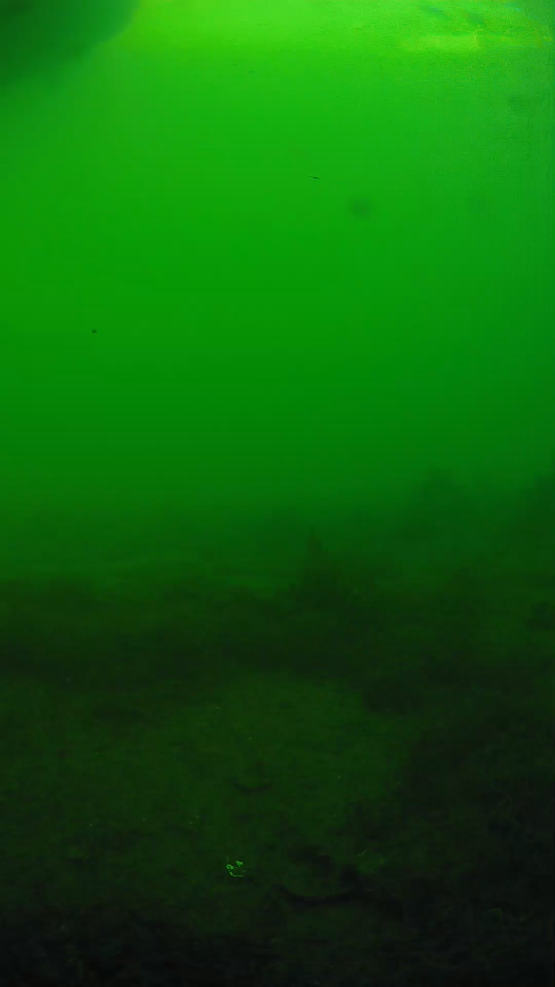 lander_ipcam_20250605180130.png