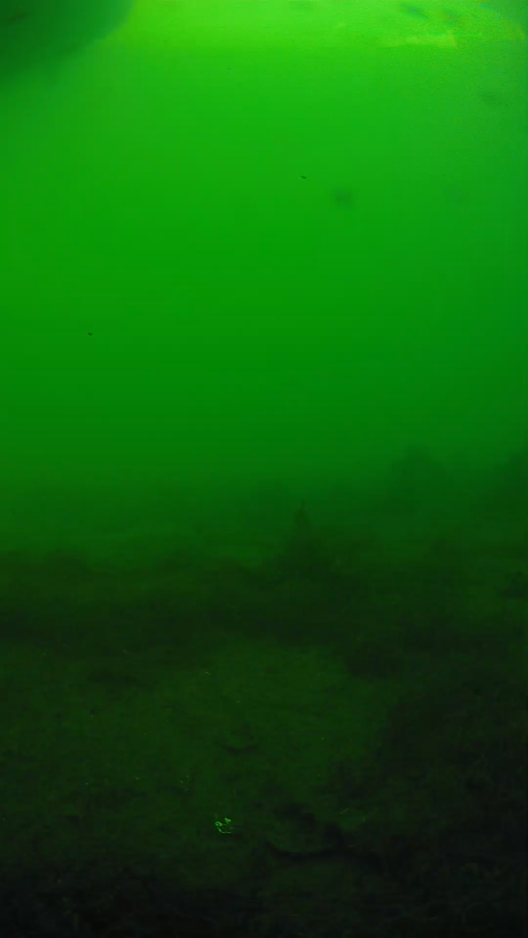 lander_ipcam_20250605180131.png