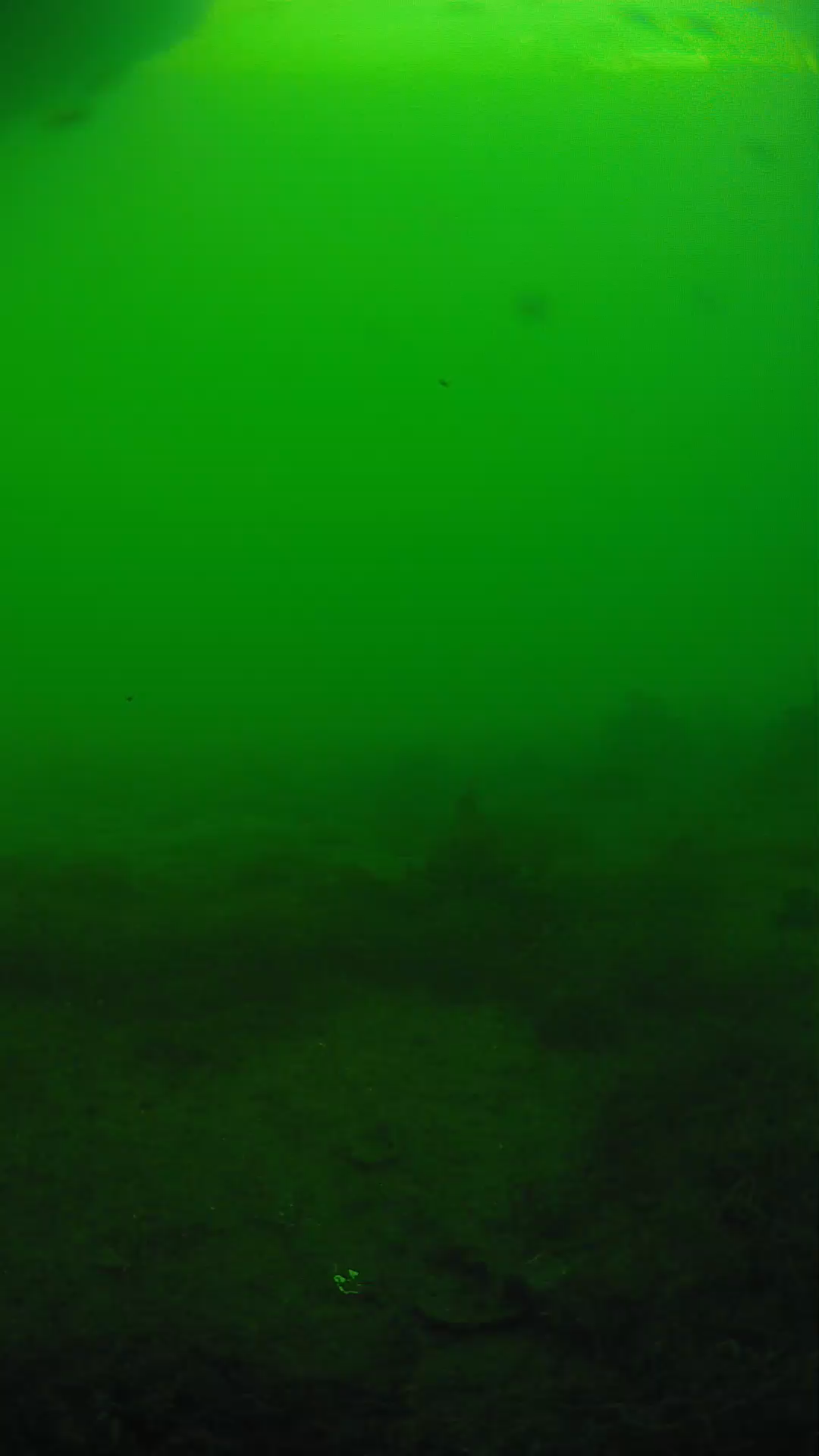 lander_ipcam_20250605180138.png