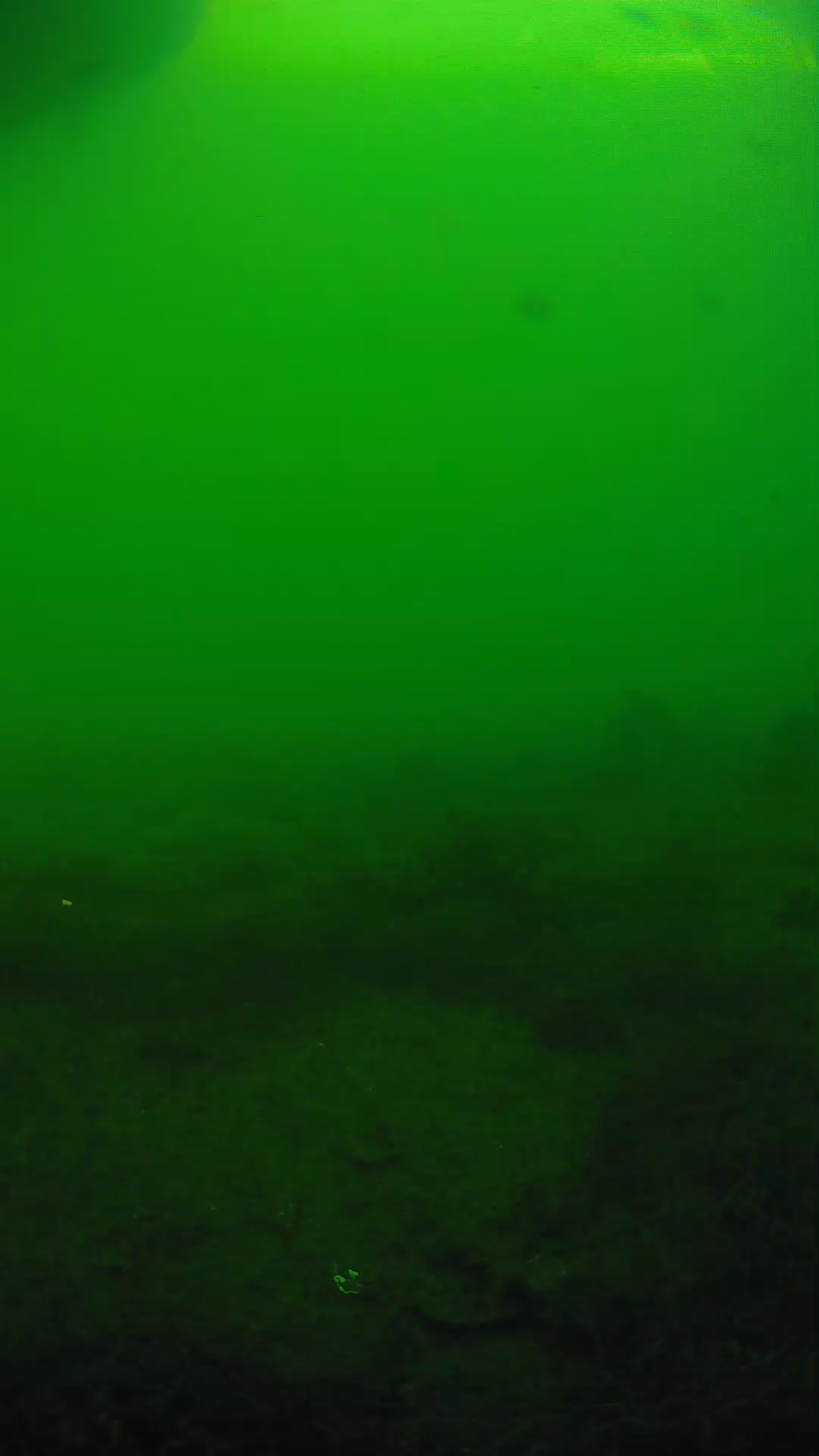 lander_ipcam_20250605180153.png