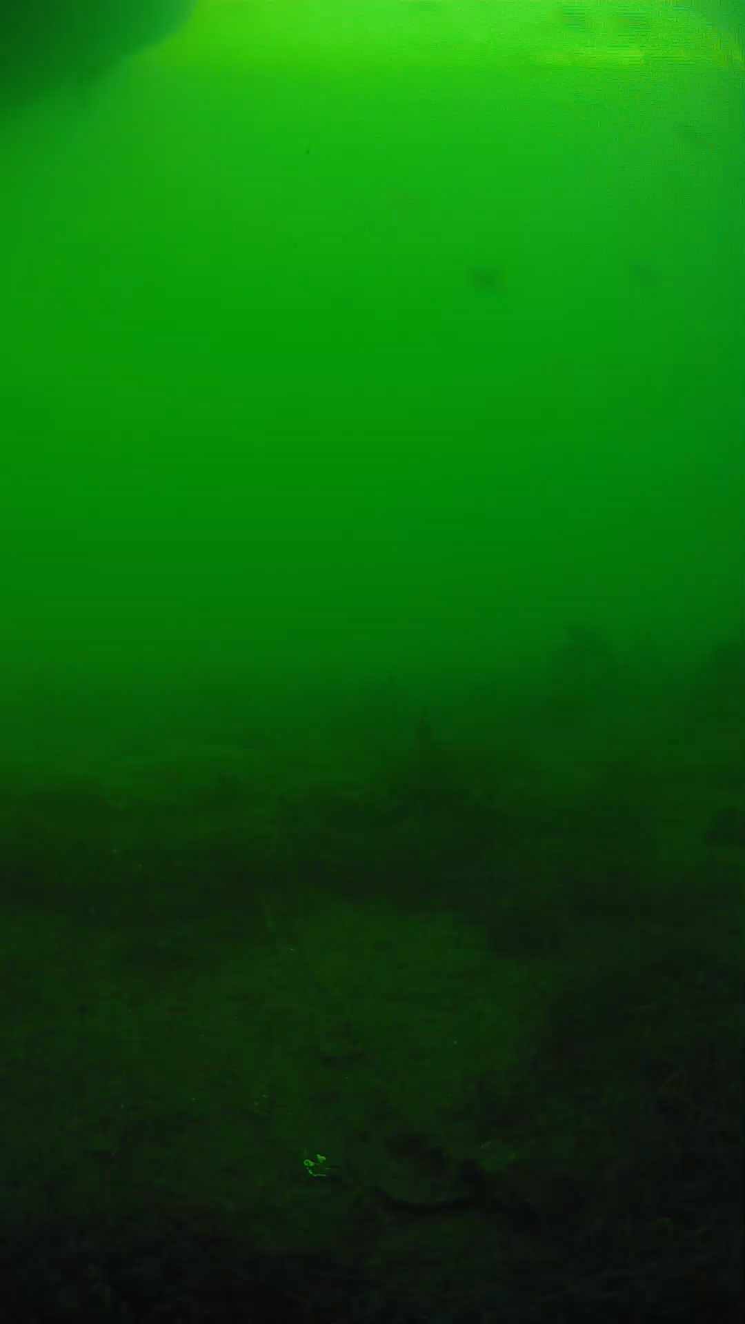 lander_ipcam_20250605180201.png