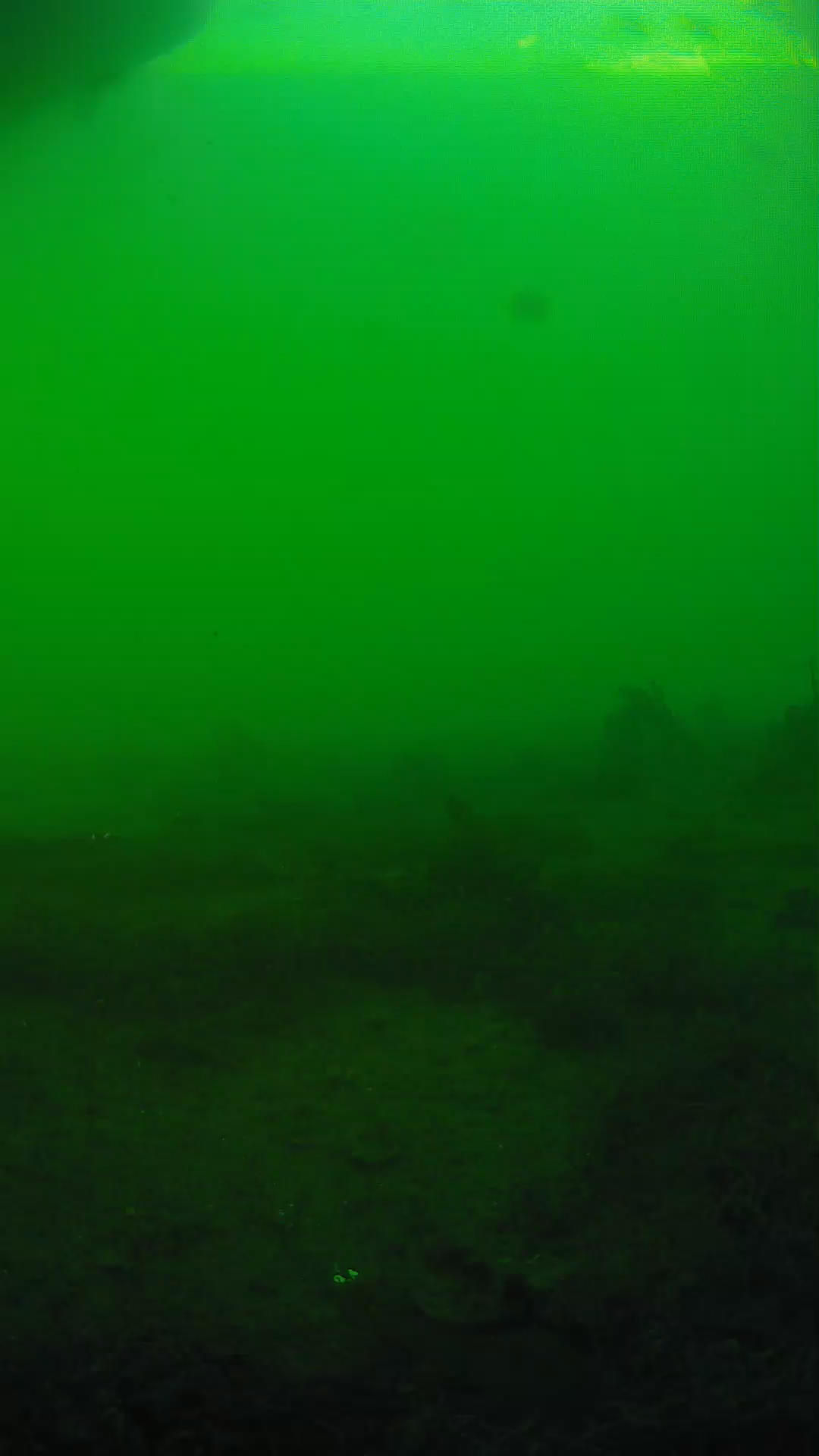 lander_ipcam_20250605181606.png