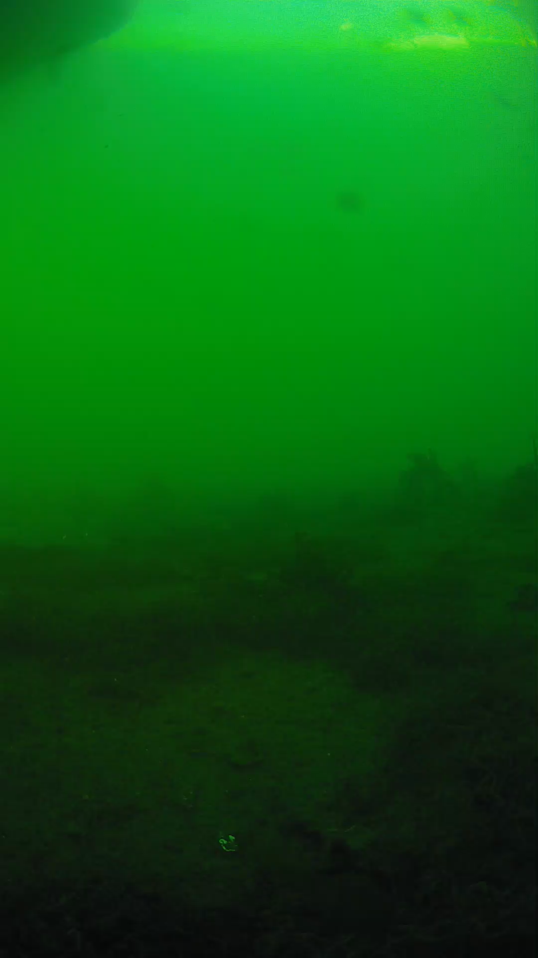 lander_ipcam_20250605181609.png