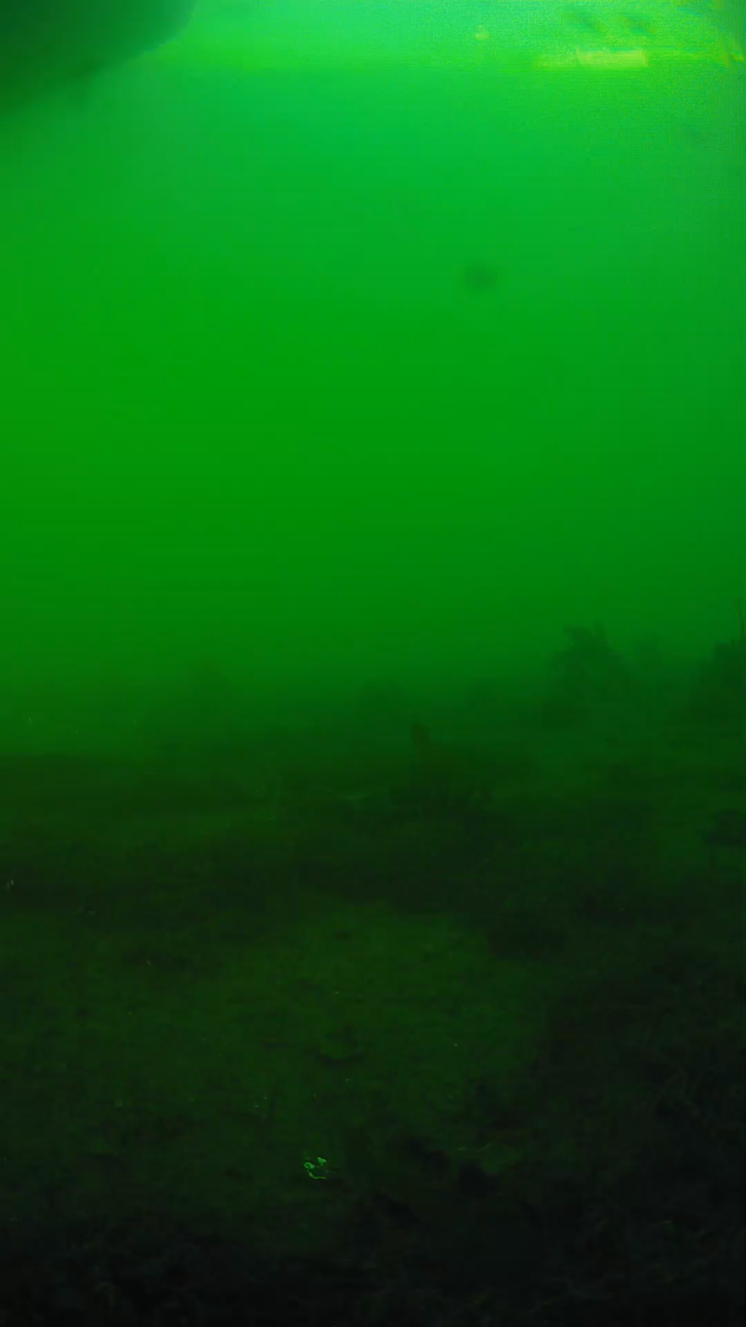 lander_ipcam_20250605181613.png