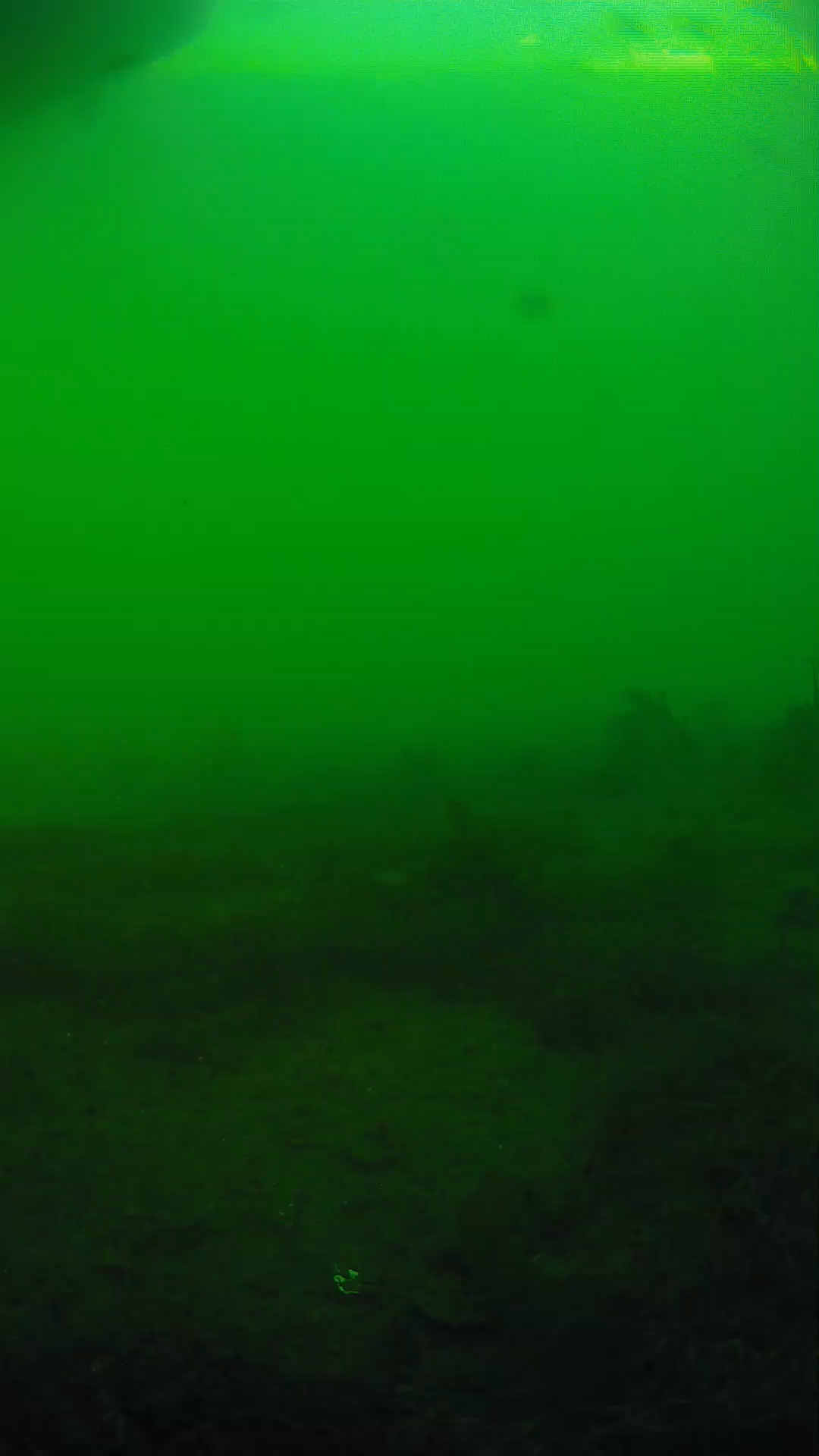 lander_ipcam_20250605181617.png