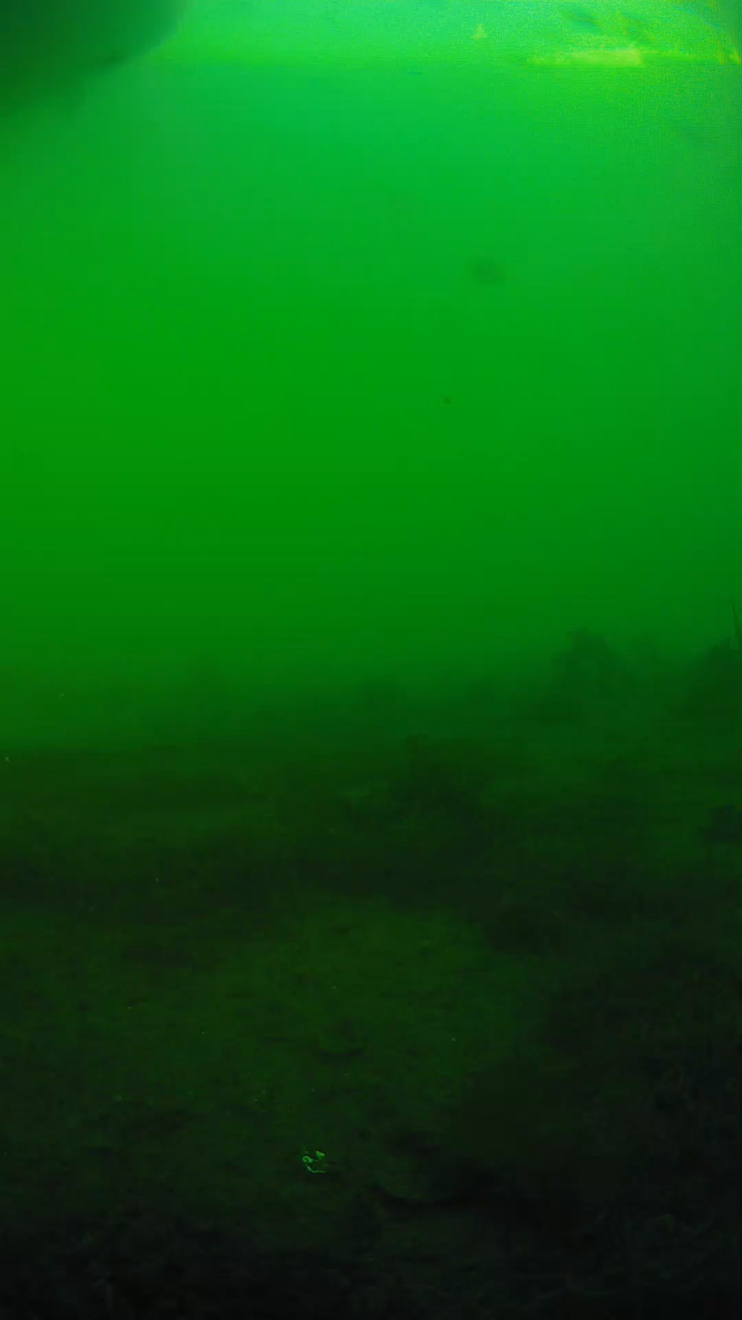 lander_ipcam_20250605181625.png