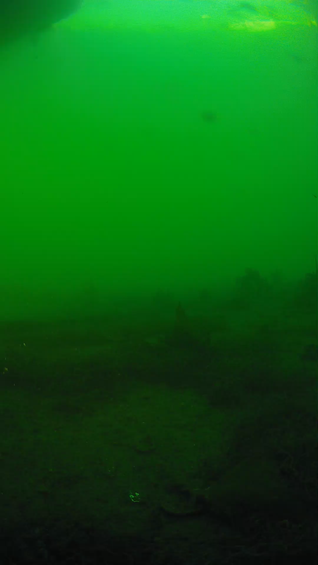 lander_ipcam_20250605181631.png