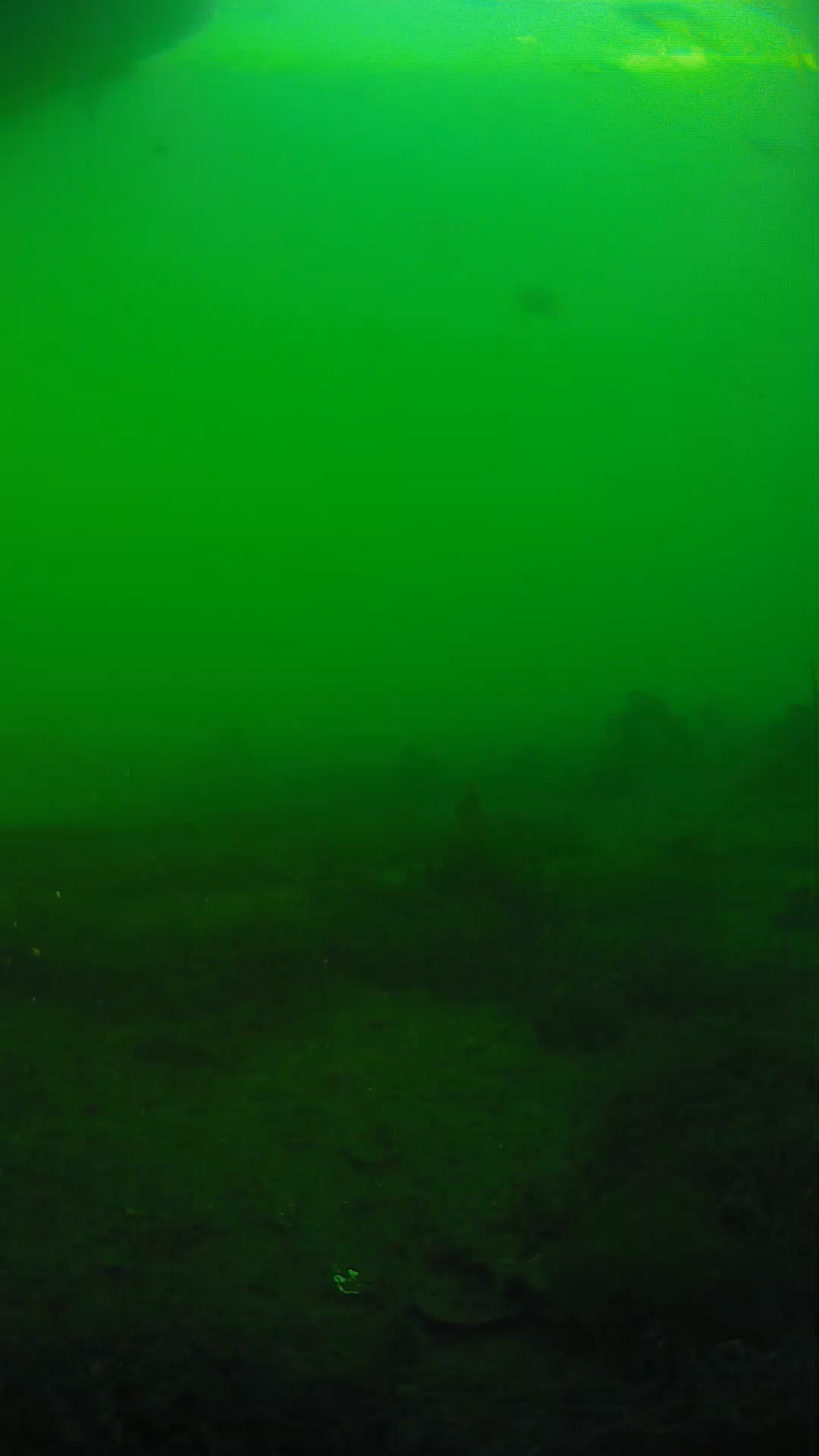 lander_ipcam_20250605181632.png