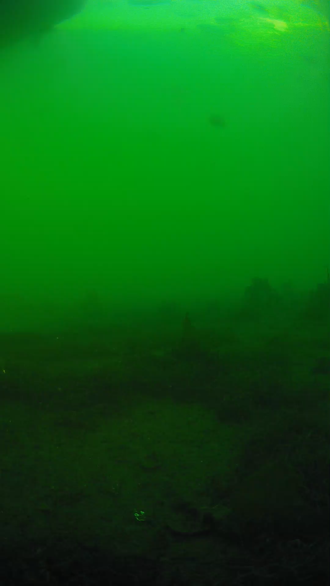 lander_ipcam_20250605181636.png