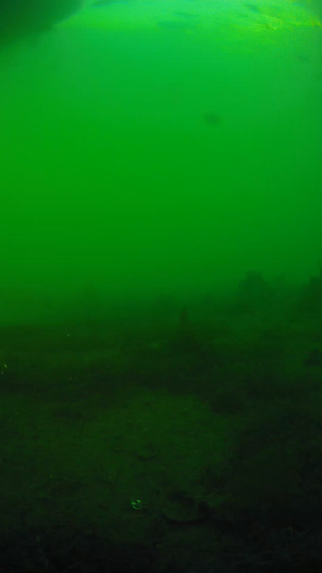 lander_ipcam_20250605181637.png