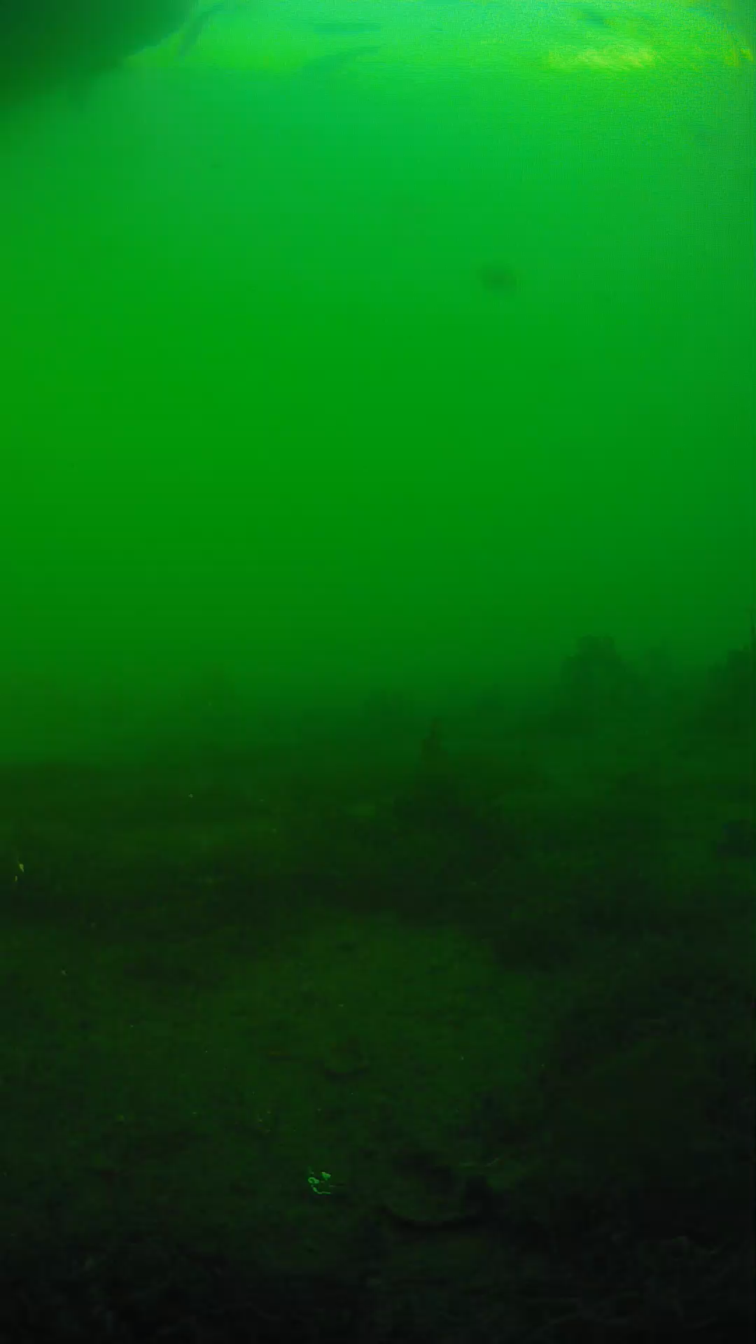 lander_ipcam_20250605181638.png