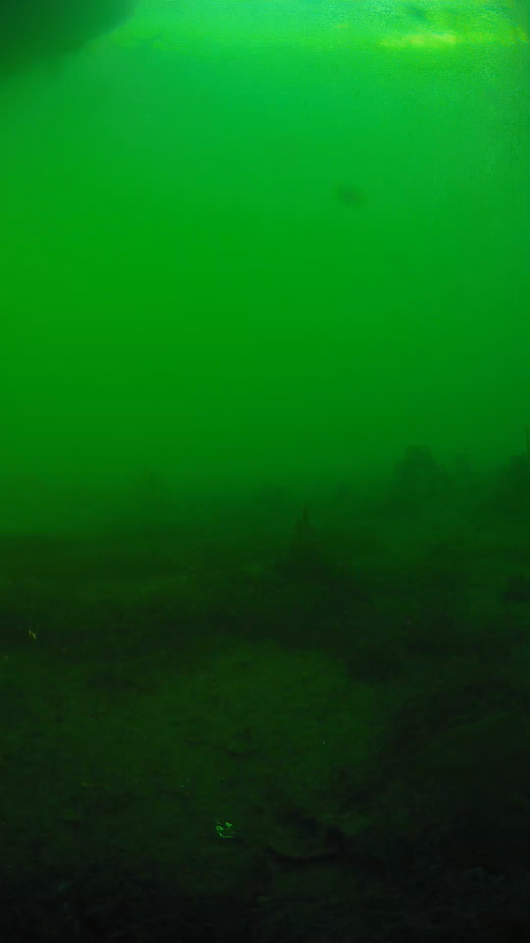 lander_ipcam_20250605181640.png