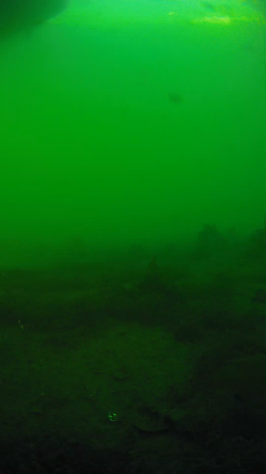 lander_ipcam_20250605181641.png