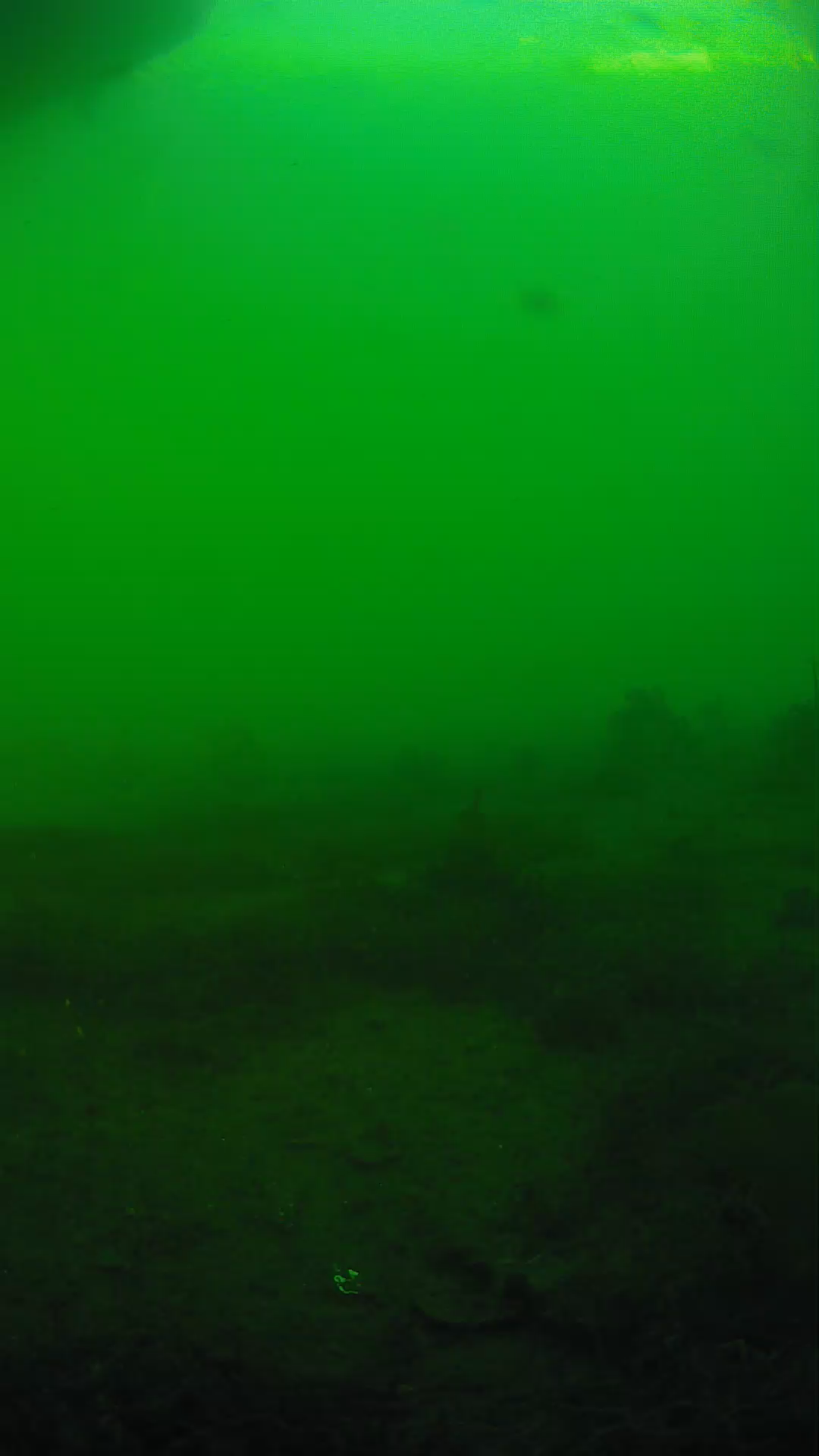 lander_ipcam_20250605181642.png