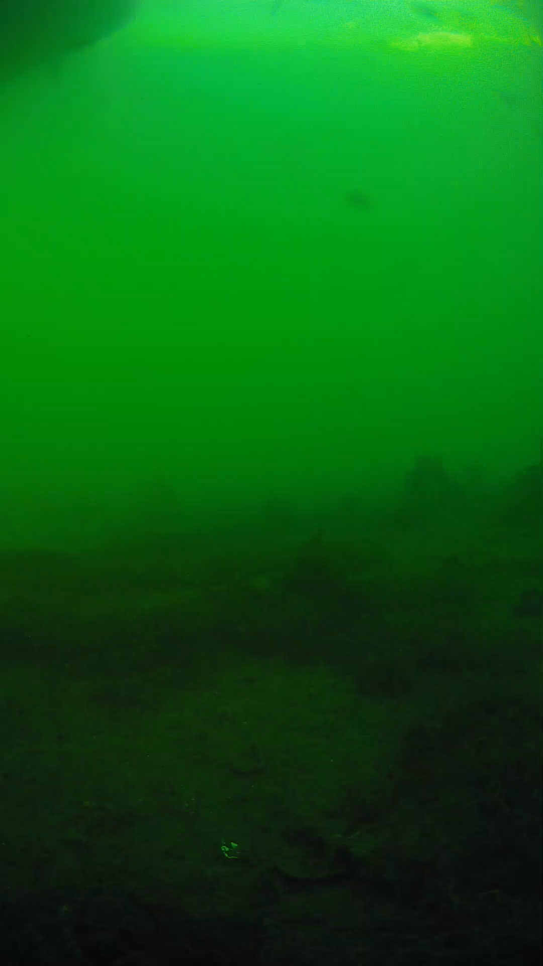 lander_ipcam_20250605181644.png