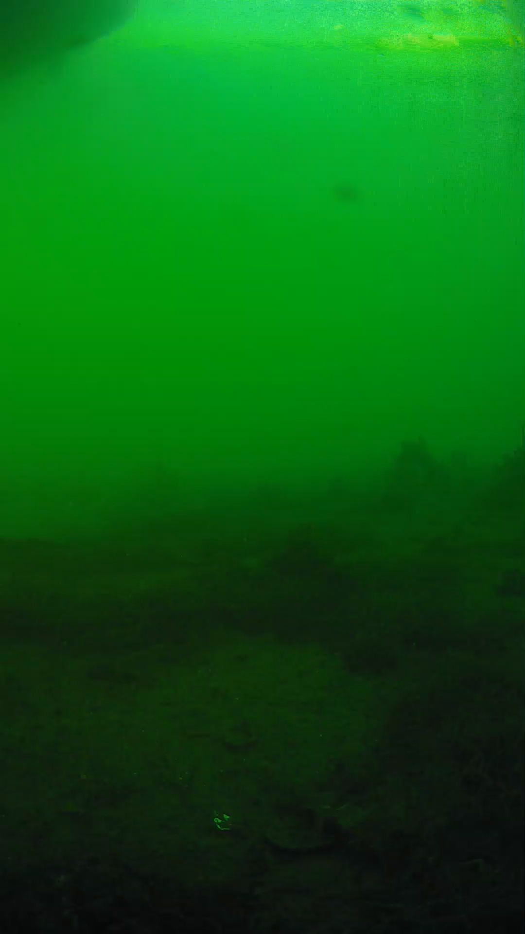 lander_ipcam_20250605181647.png