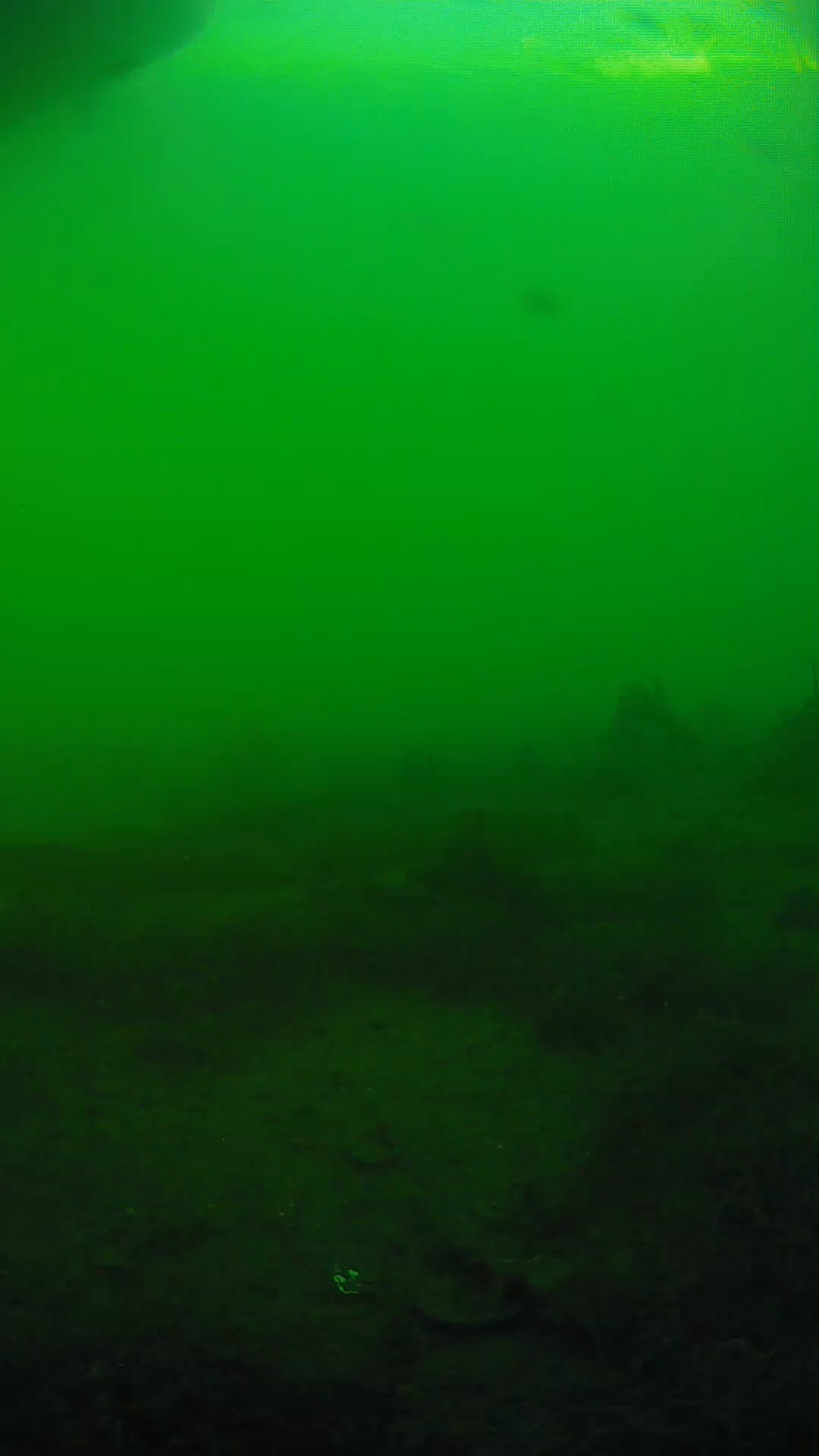 lander_ipcam_20250605181649.png