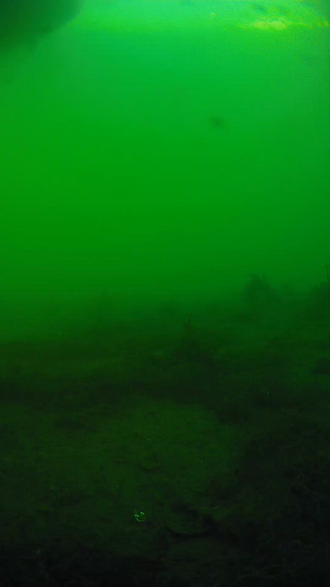 lander_ipcam_20250605181653.png